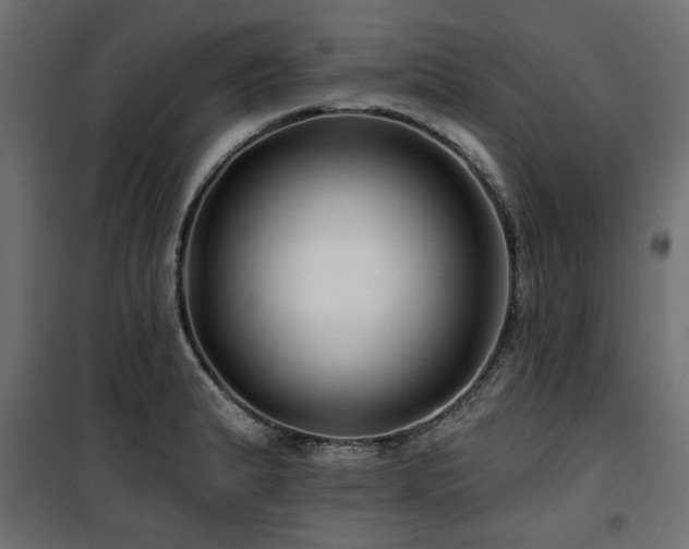 X0000100751183200806191136