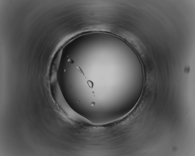 X0000100751184200806191136