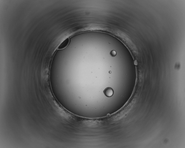 X0000100751185200806191136