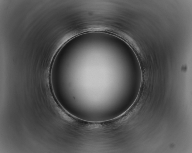 X0000100751186200806191136