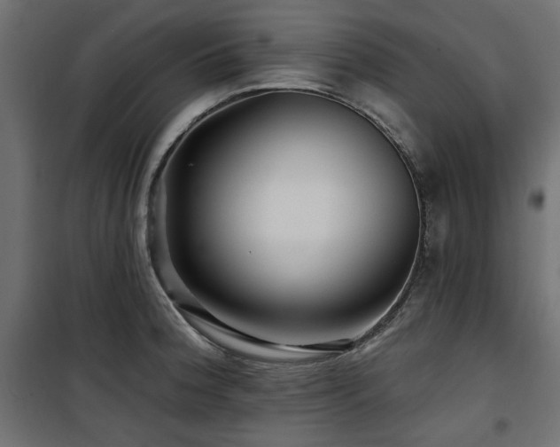 X0000100751188200806191136