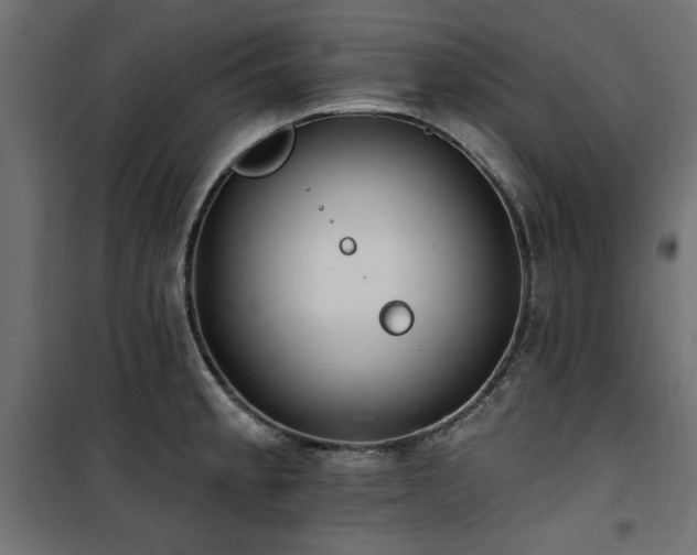 X0000100751189200806191136