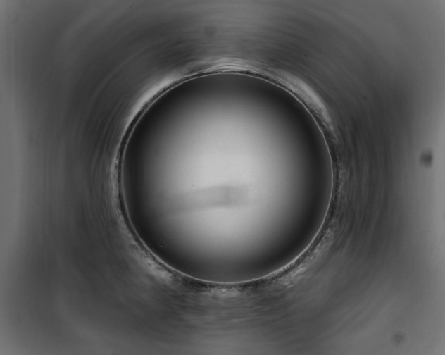 X0000100751190200806191136