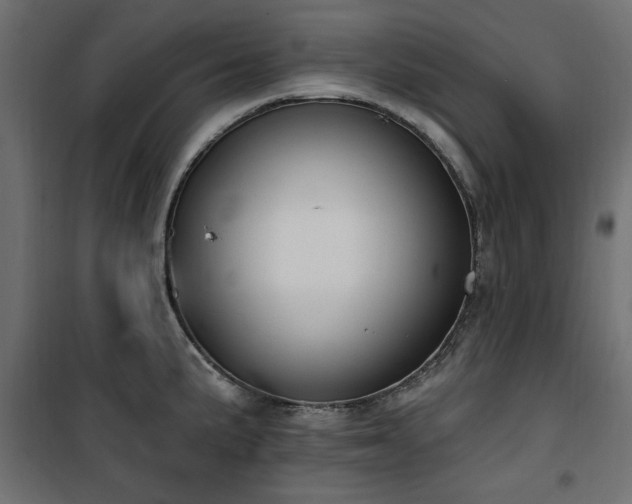 X0000100751191200806191136