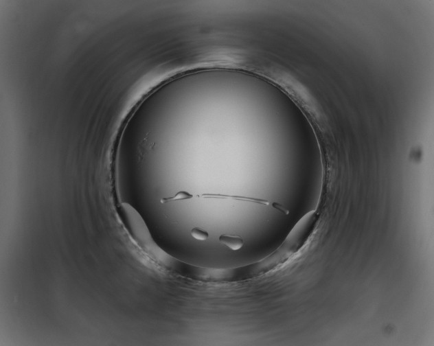 X0000100751192200806191136