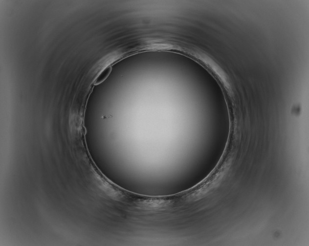 X0000100751193200806191136