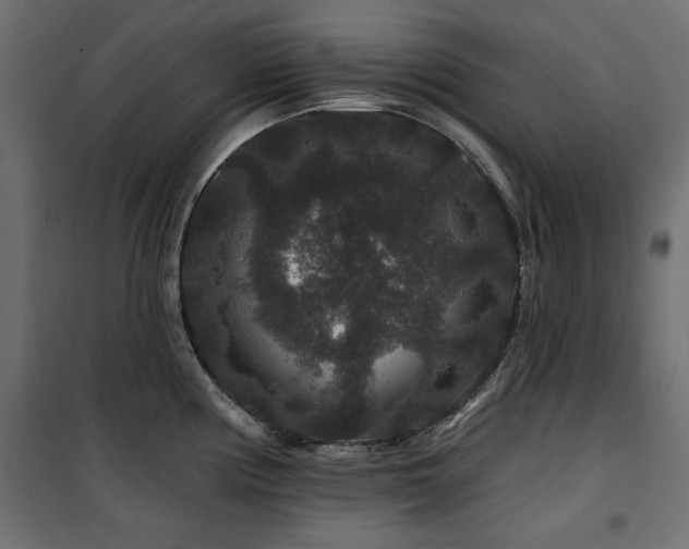 X0000100751194200806191136