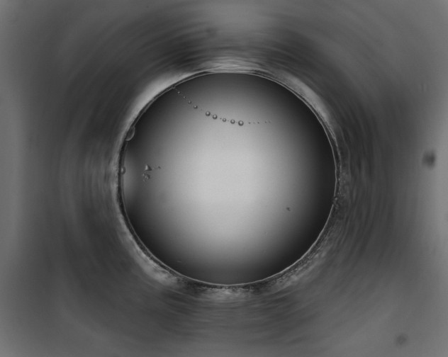 X0000100751195200806191136