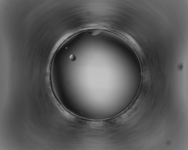 X0000100751196200806191136