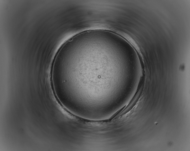 X0000100751197200806191136