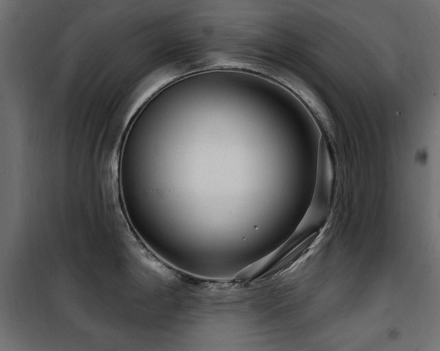 X0000100751198200806191136