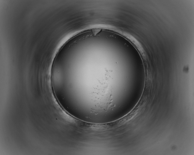 X0000100751199200806191136