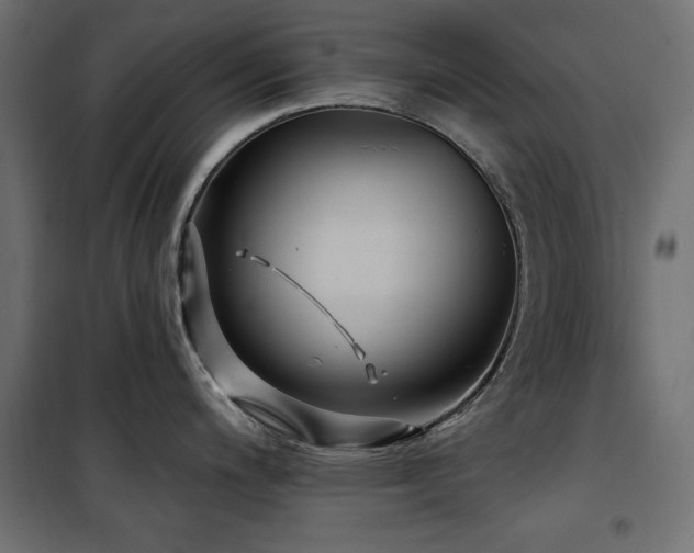 X0000100751200200806191136