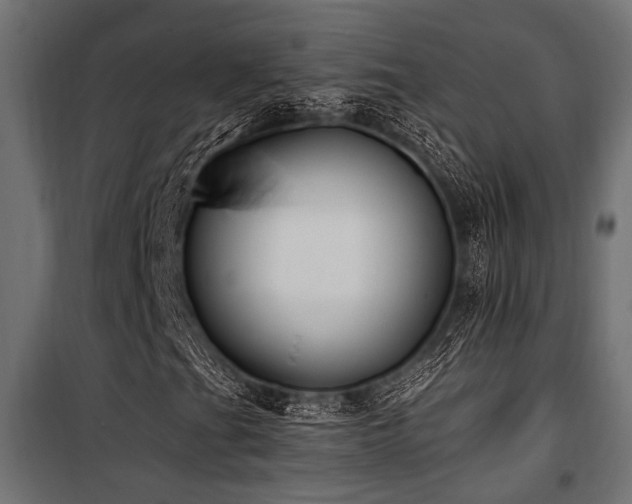 X0000100751201200806191135