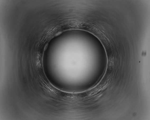 X0000100751202200806191135