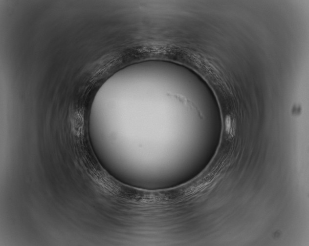 X0000100751203200806191135