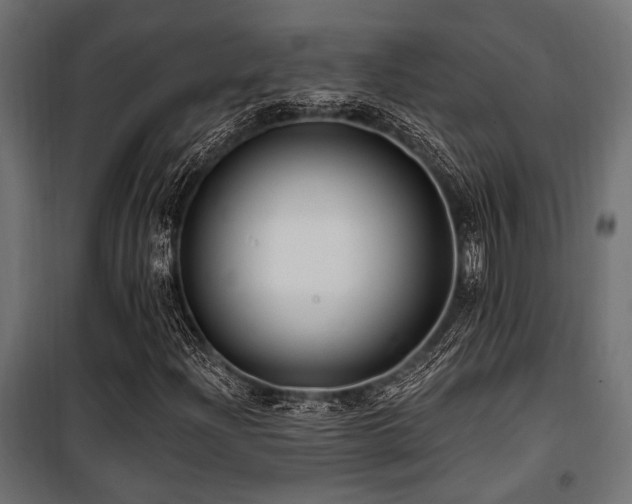 X0000100751204200806191135