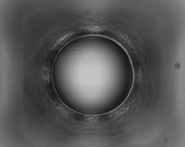 X0000100751205200806191135