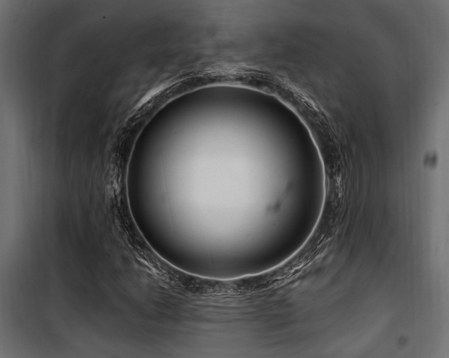 X0000100751206200806191135