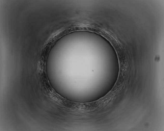 X0000100751207200806191135