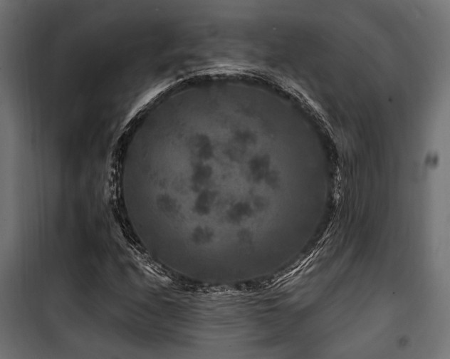 X0000100751208200806191135