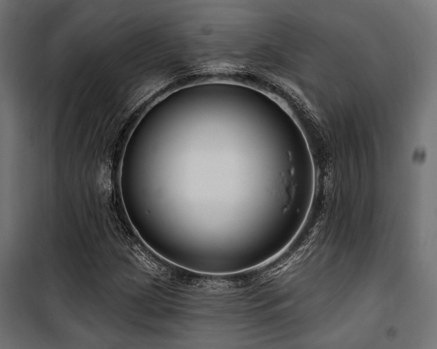 X0000100751209200806191135