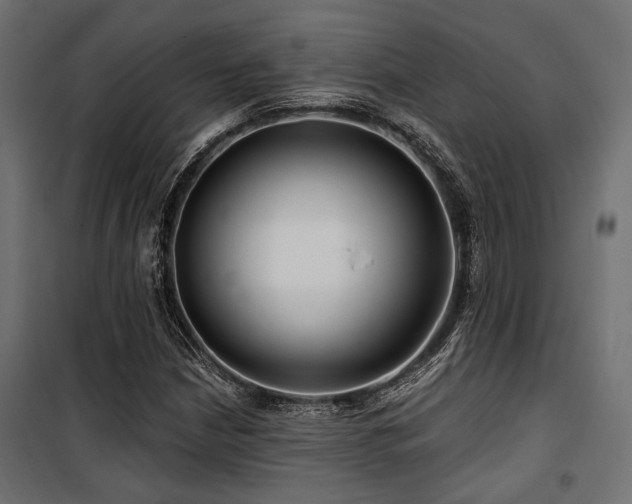 X0000100751210200806191135