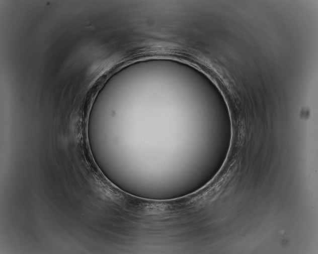 X0000100751211200806191135