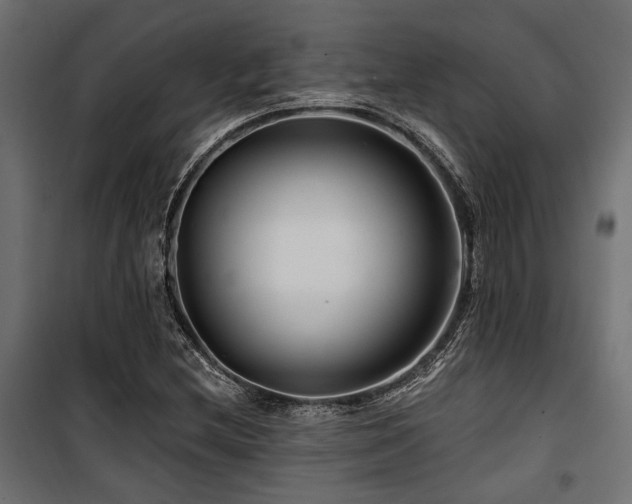 X0000100751212200806191135