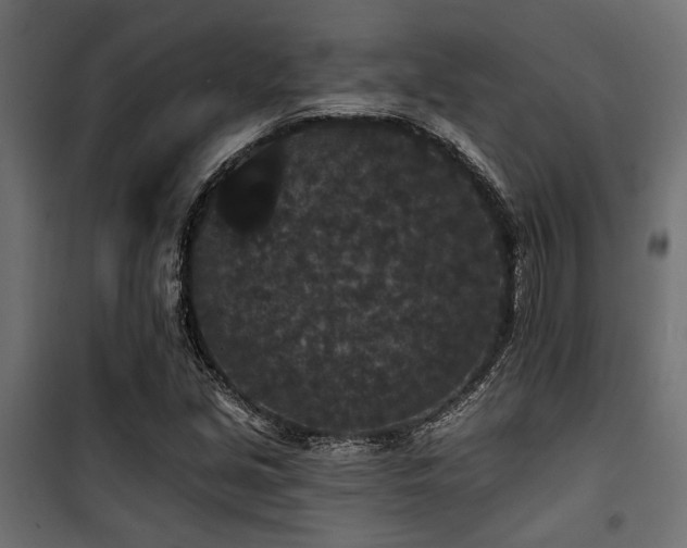 X0000100751213200806191135