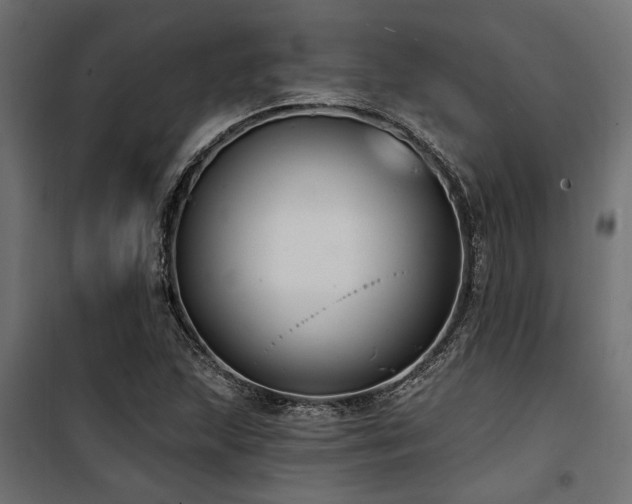 X0000100751215200806191135