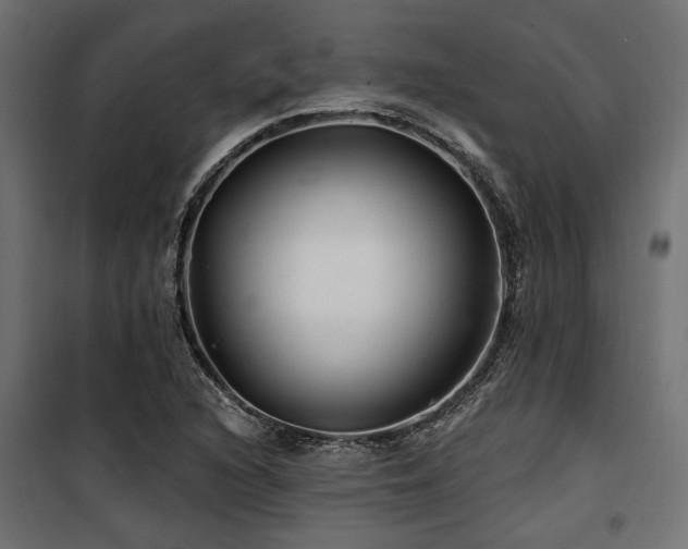 X0000100751216200806191135