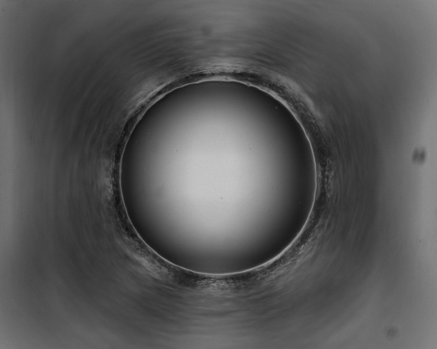 X0000100751217200806191135