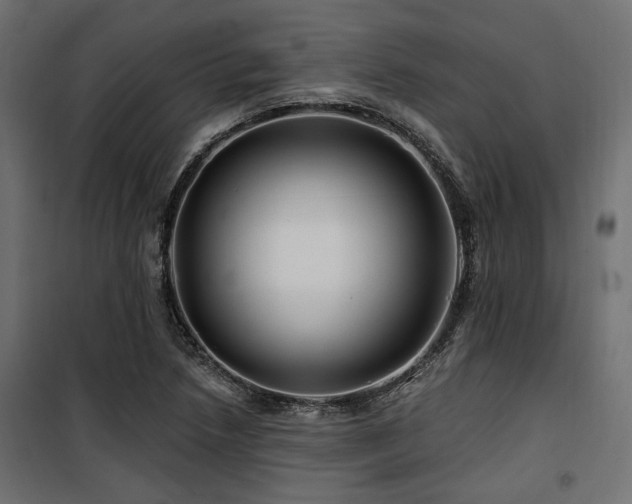 X0000100751218200806191135