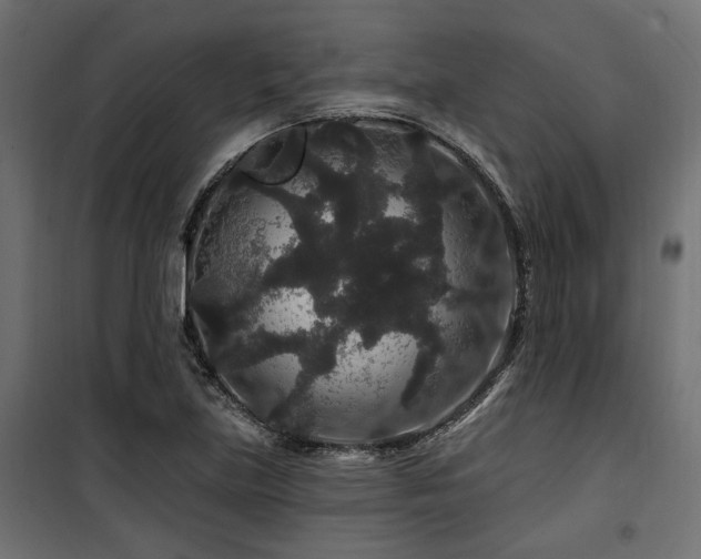 X0000100751219200806191135