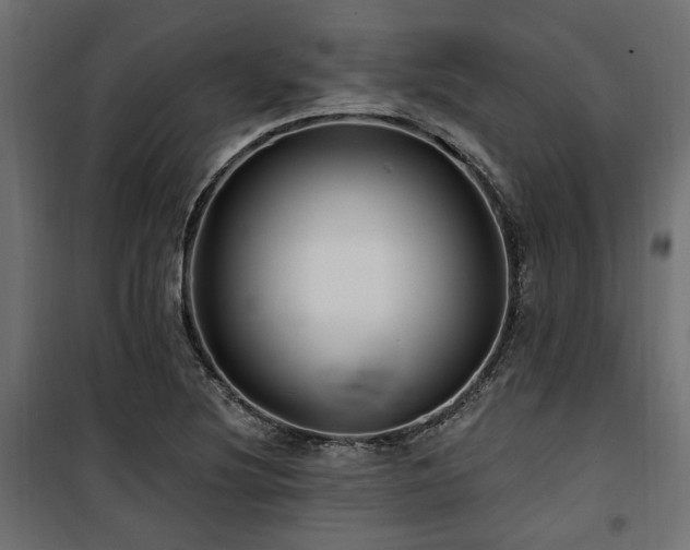 X0000100751220200806191135