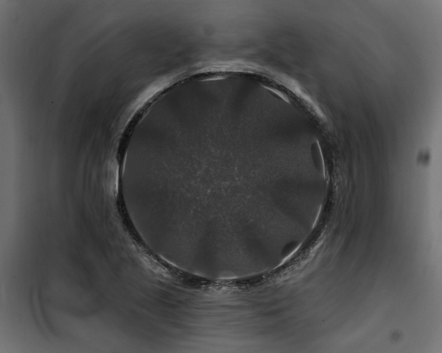 X0000100751221200806191135