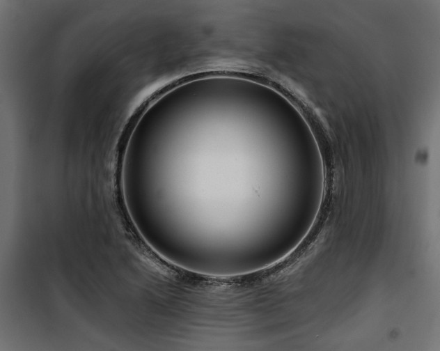 X0000100751222200806191135