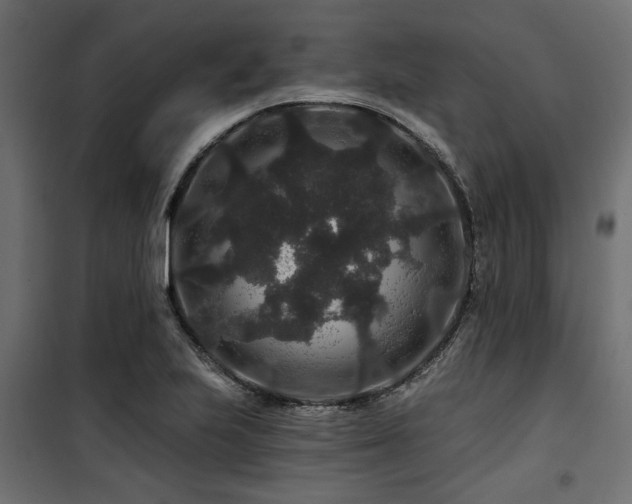 X0000100751223200806191135