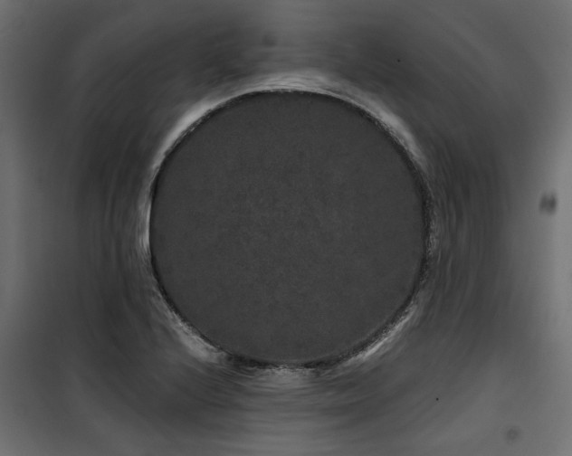 X0000100751224200806191135