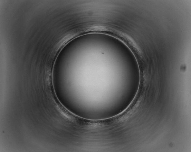 X0000100751225200806191135