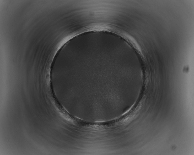 X0000100751226200806191135