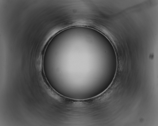 X0000100751227200806191135