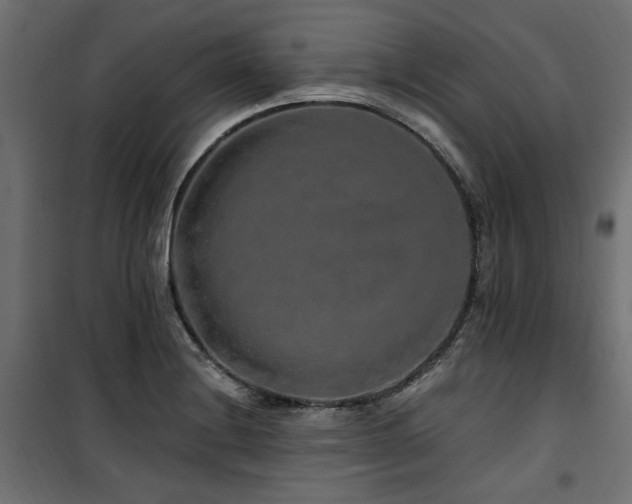 X0000100751228200806191135