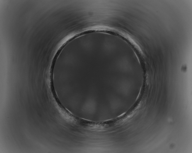 X0000100751229200806191135