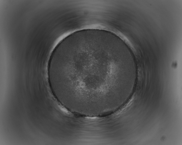 X0000100751230200806191135