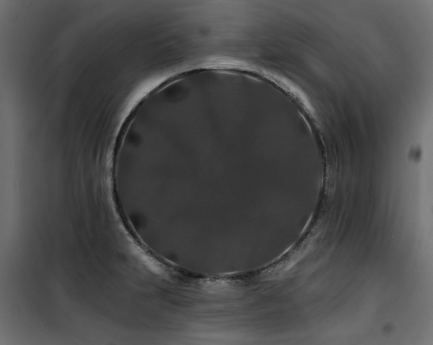 X0000100751231200806191136