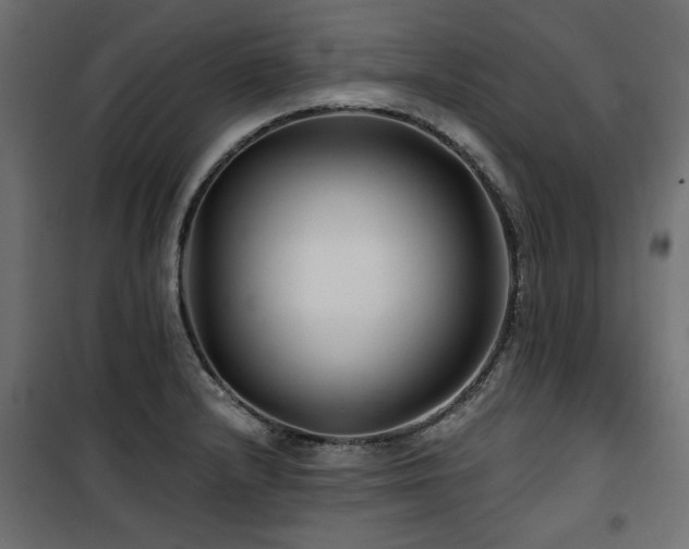 X0000100751232200806191136