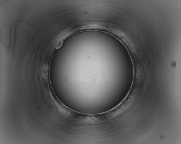 X0000100751233200806191136