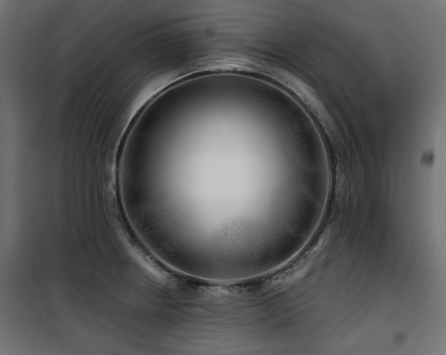 X0000100751234200806191136